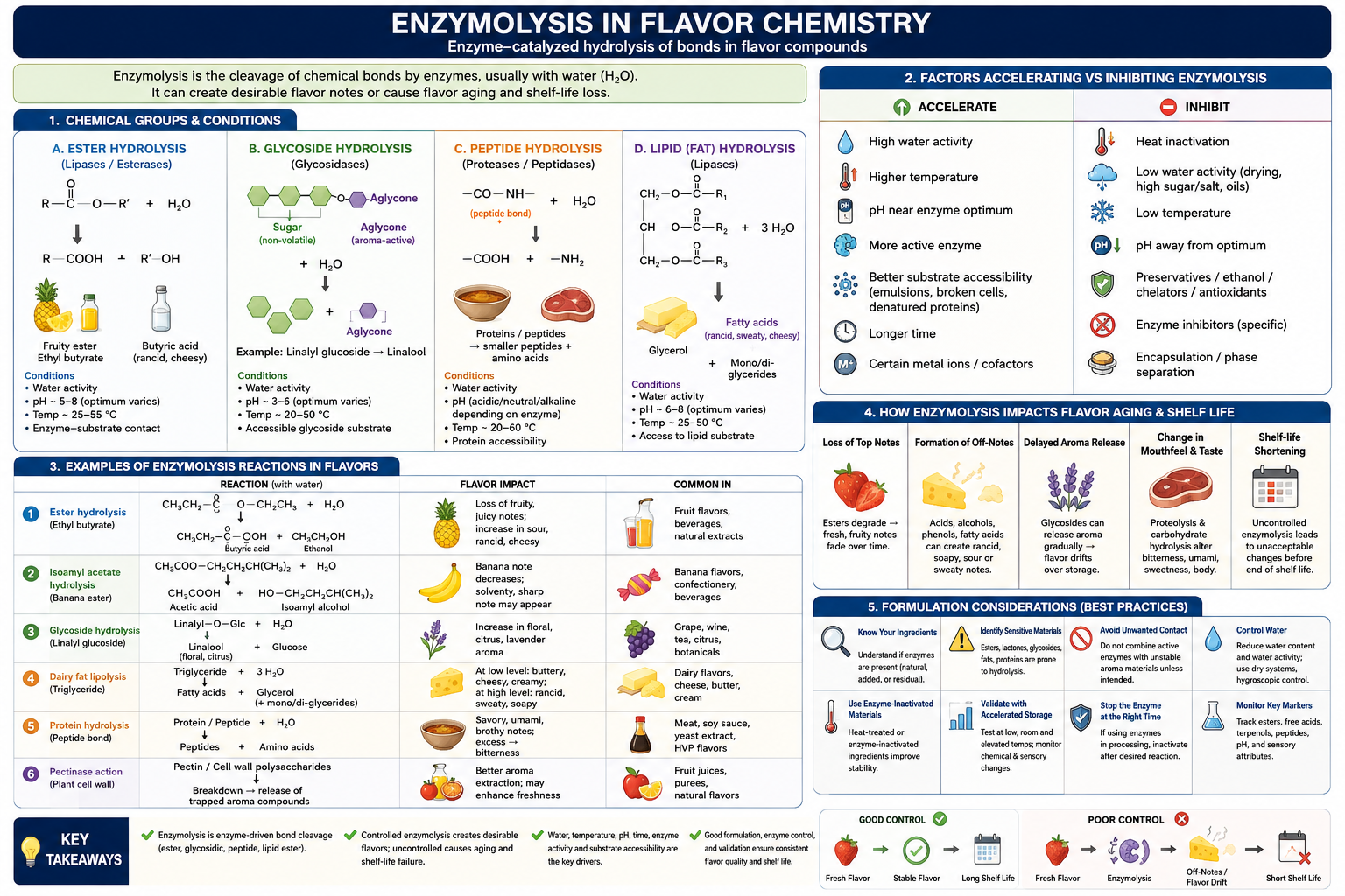 Enzymolysis in Flavor Chemistry: What the Society of Flavor Chemists Wants You to Know