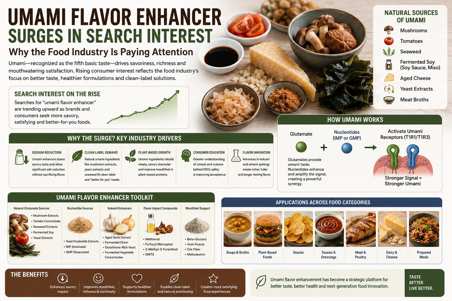 Umami Flavor Enhancer Surges in Search Interest: Why the Food Industry Is Paying Attention