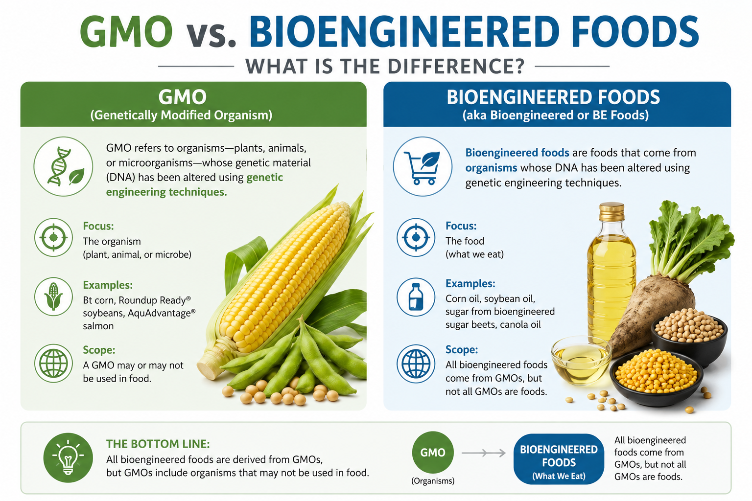 GMO vs Bioengineered Foods: What is the Difference?