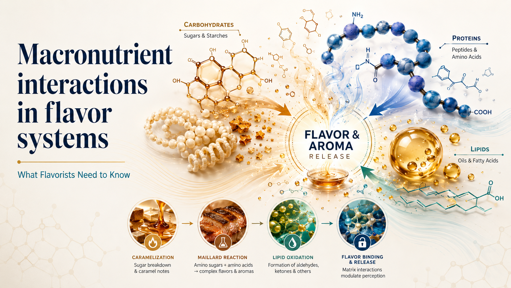 Macronutrient interactions in flavor systems: What Flavorists Need to Know