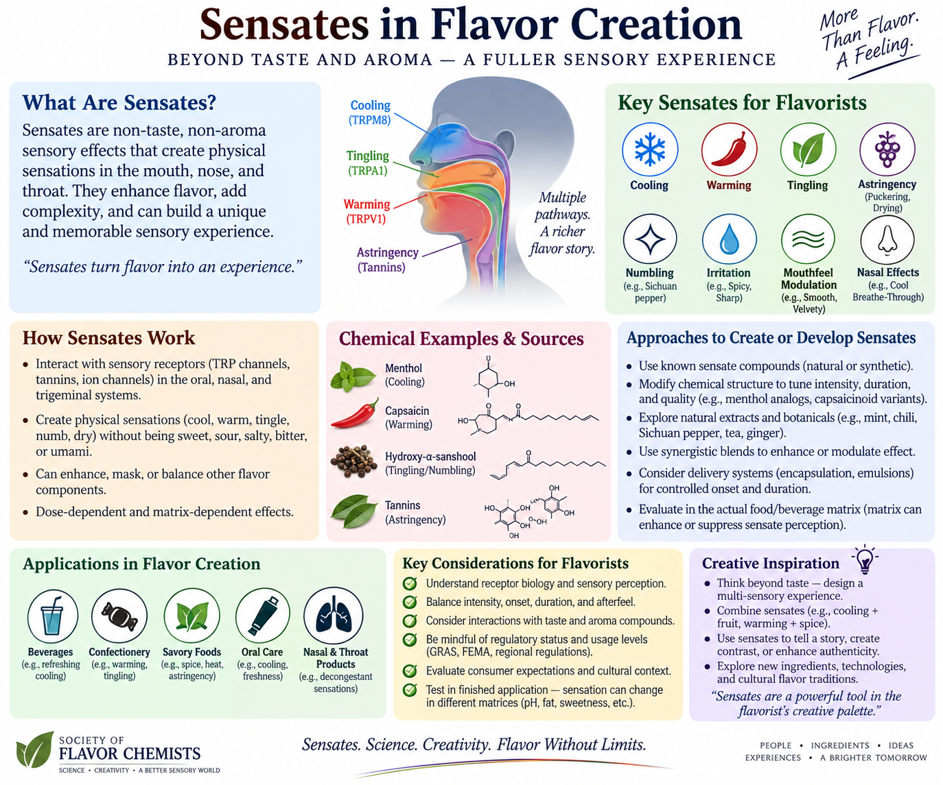Sensates in Flavor Creation: A Certified Flavorist's Guide to