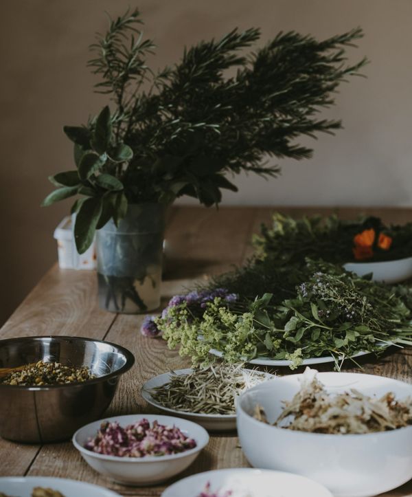 Commonly used herbs and their applications in flavors