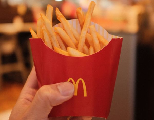 Sensory-directed flavor analysis of key odorants compounds in frying oil and French fries
