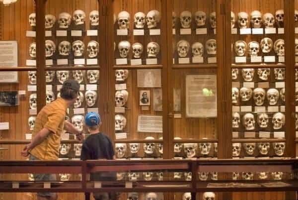 Mutter Museum survives an attack from the Woke