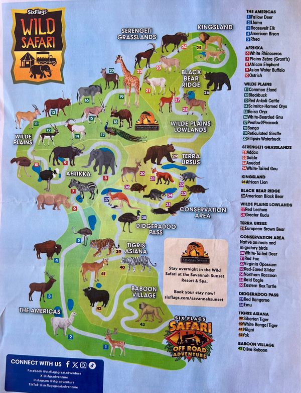 Going on safari, just an hour from home