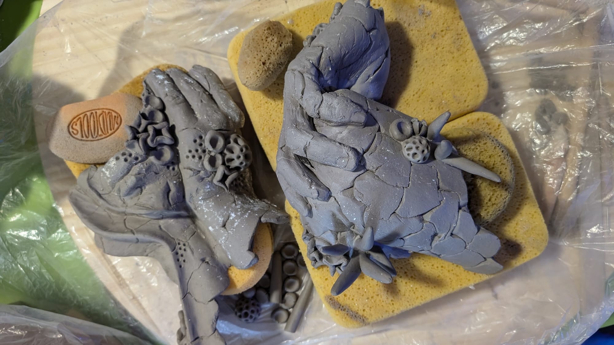 From Kilns to Coral Reefs: Ashley Rivers Builds What Can’t Be Contained