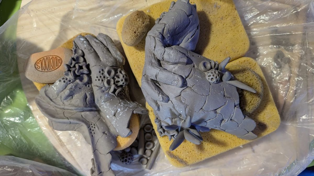 From Kilns to Coral Reefs: Ashley Rivers Builds What Can’t Be Contained