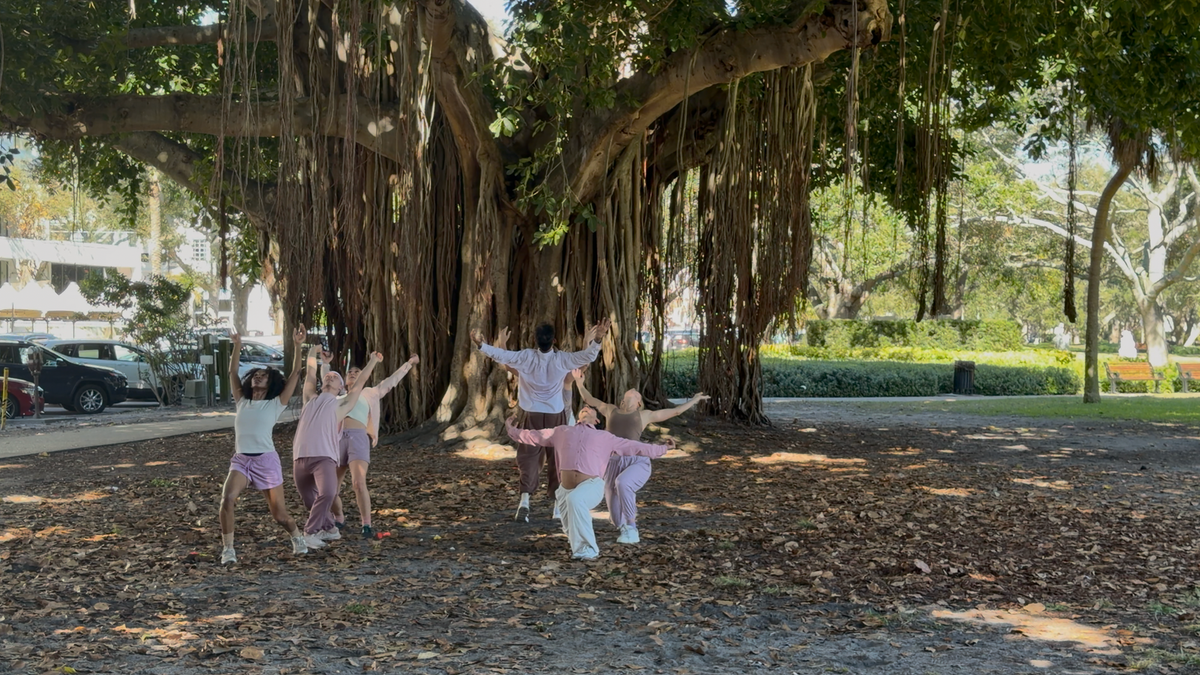 Dance, Interrupted — In the Best Way