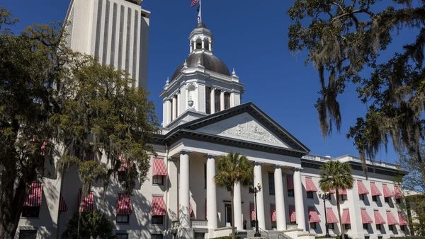 Orange Blossom Award: The Grant Survivors