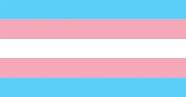 TRANS RIGHTS