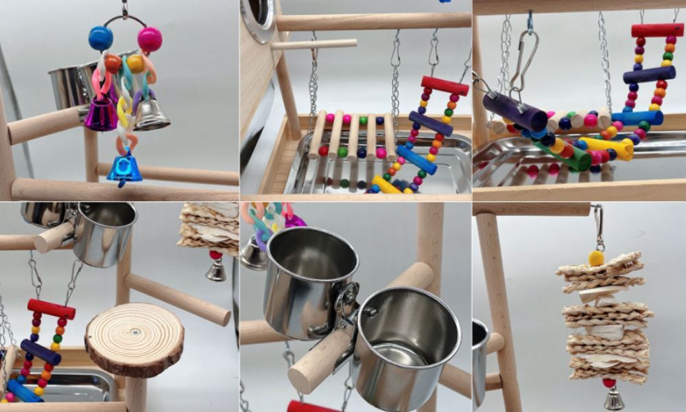 Cockatiel Playground Toys and Food Bowls