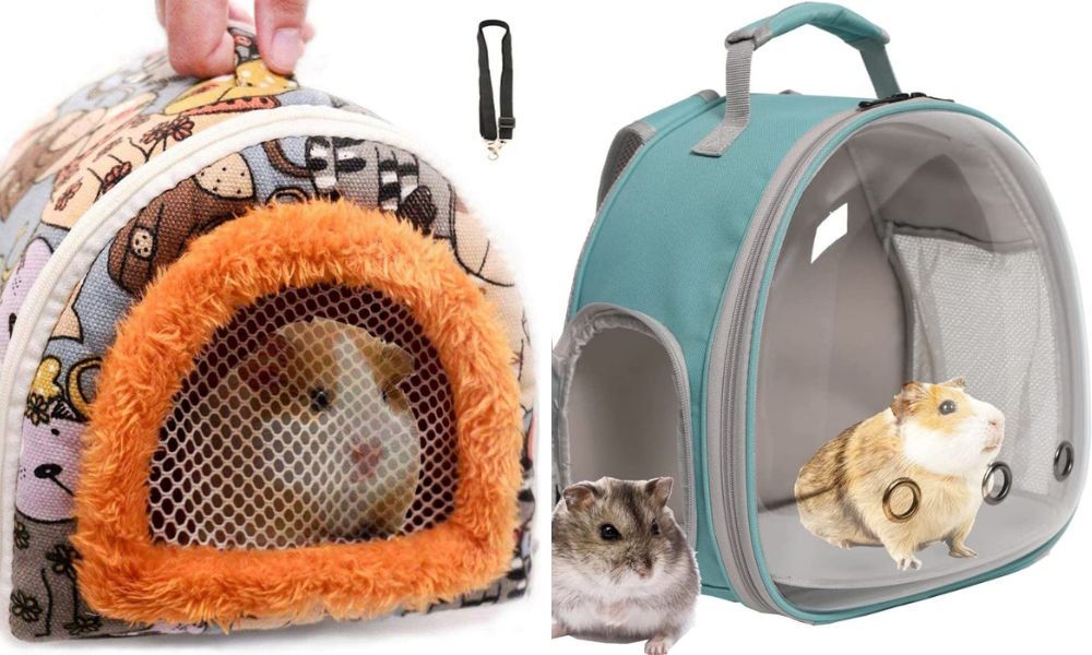 Guinea Pig Carrier