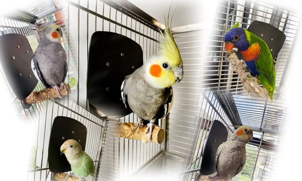 Bird Cage Heater
