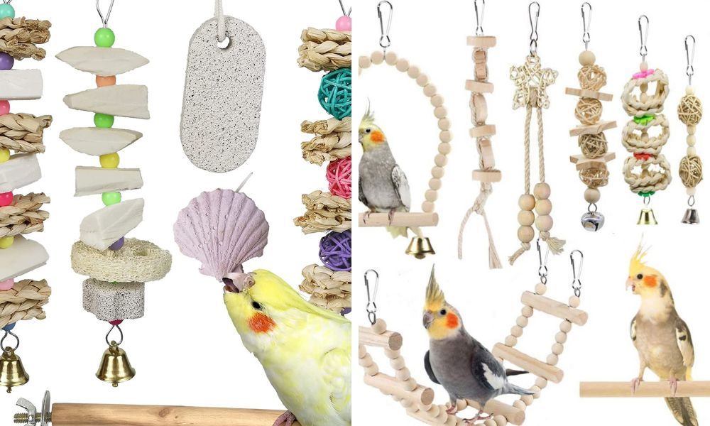 Types of cockatiel toys