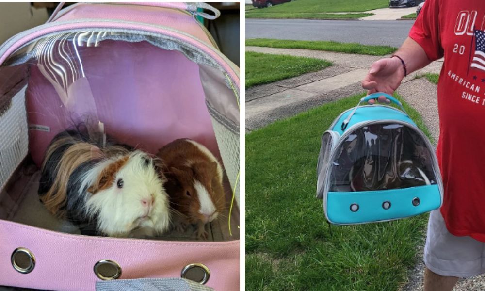 Guinea Pig Carrier