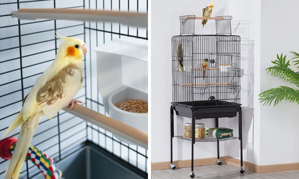 Cocaktiel Cage