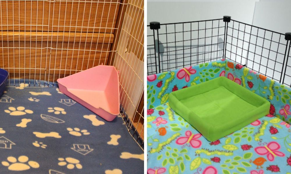 Adult Guinea Pig Litter Box