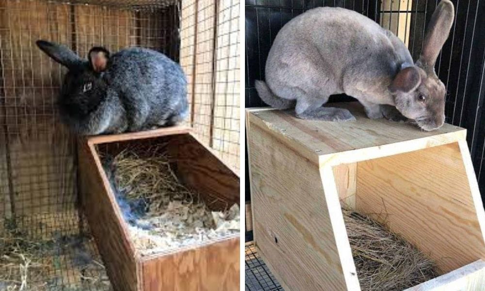 Two rabit nest boxes
