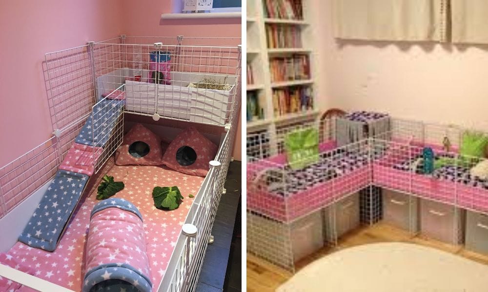 Guinea Pig Cage Ideas