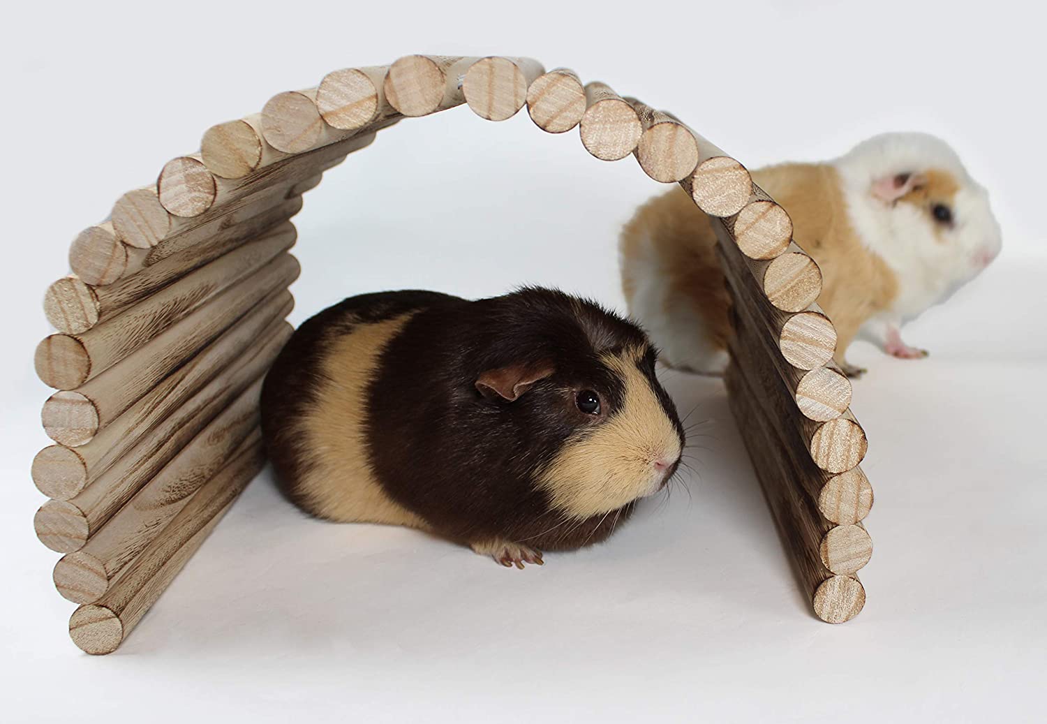 Guinea pig Hideout