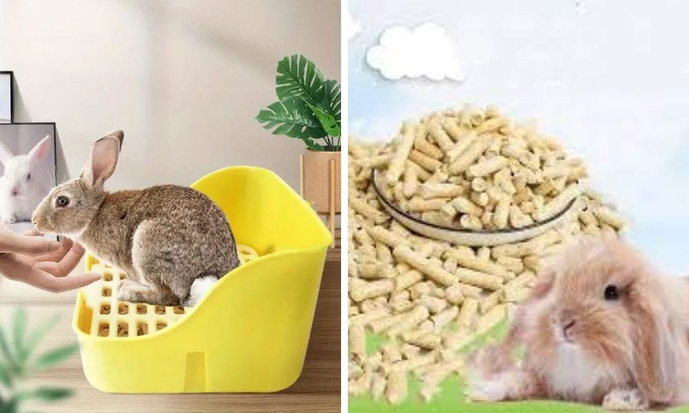 Rabbit Litter Wood Pellets, Small animal bedding