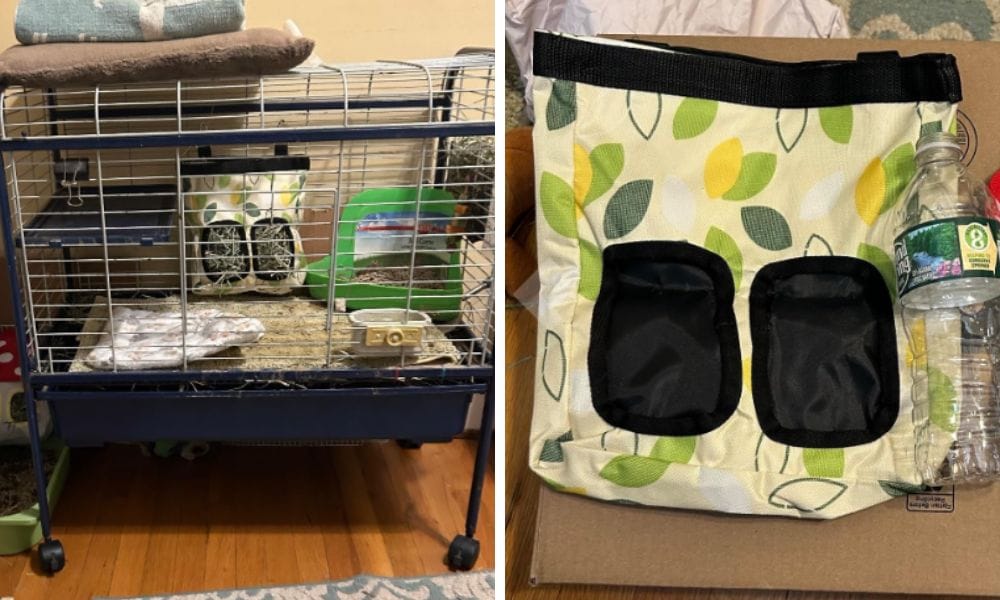 Hay Bag Rioussi for Piggies