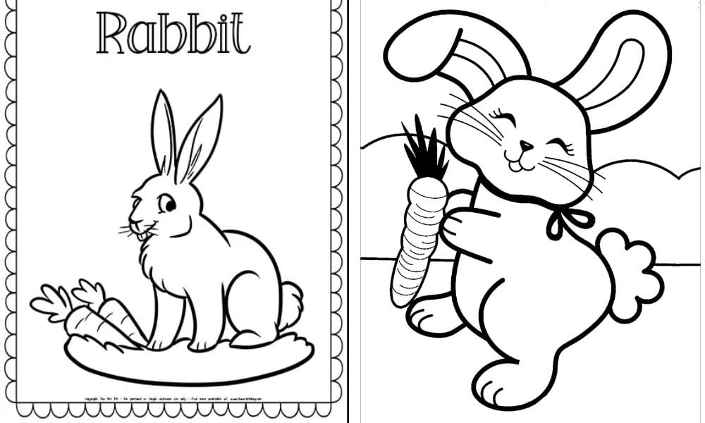 Rabbit Coloring Page