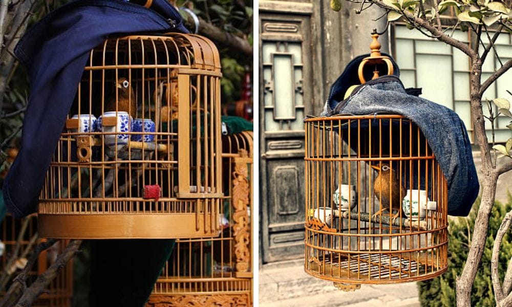 bird cage covers