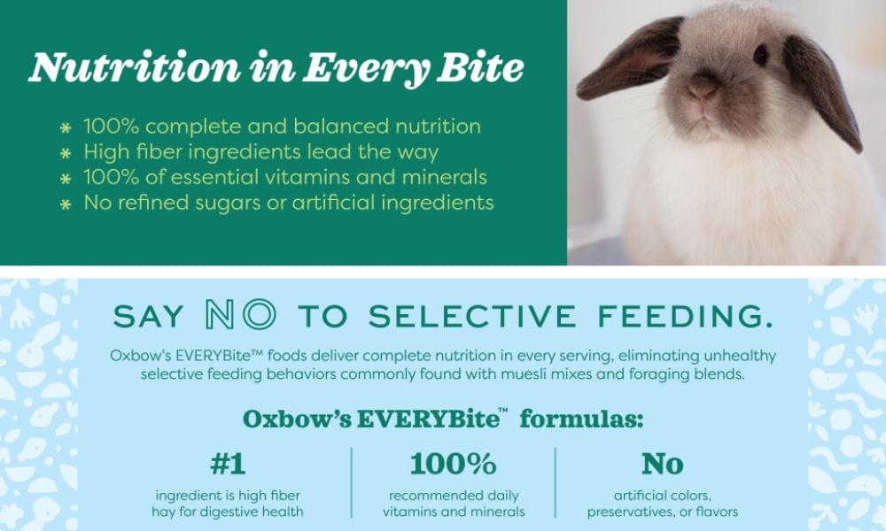 Nutrition In Every Bite