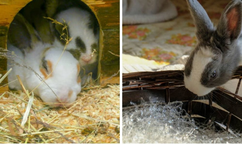 nesting boxes