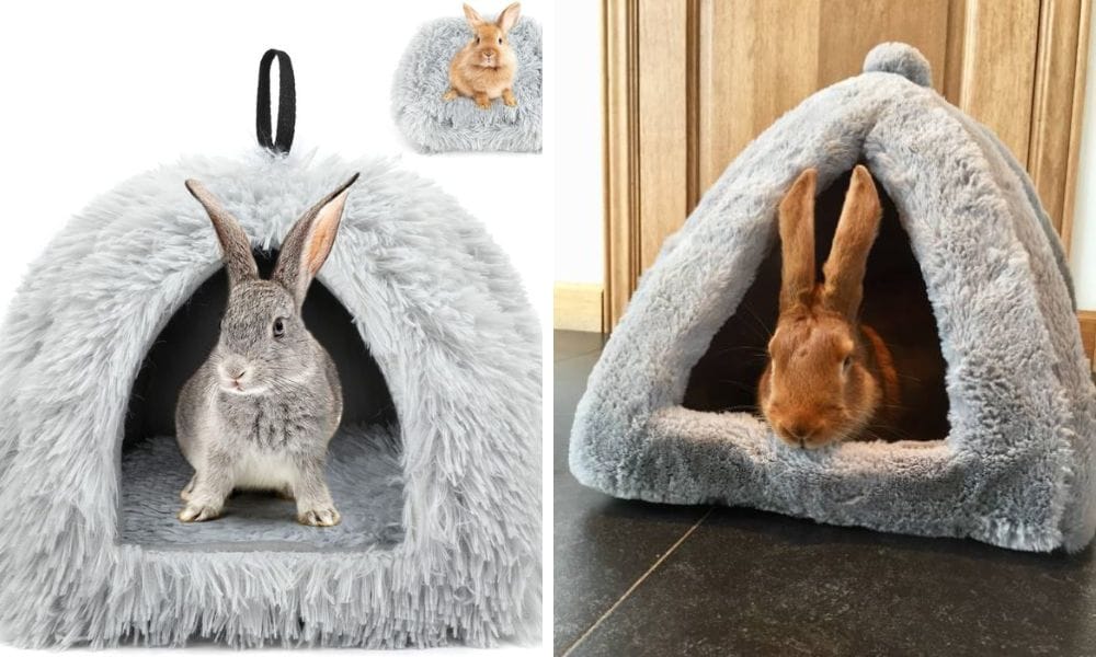 bunny bed