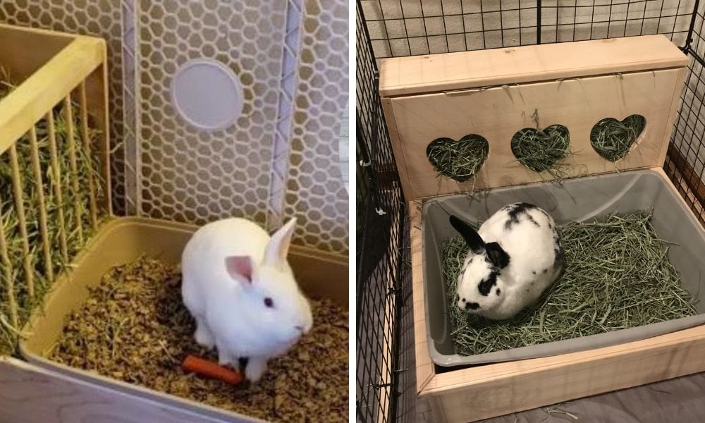 rabbit litter box