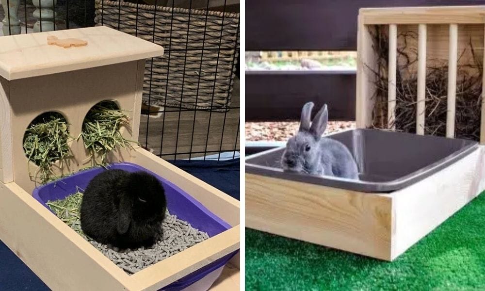 rabbit litter box
