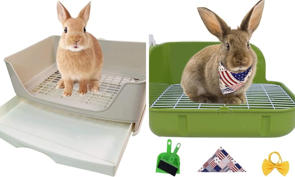 rabbit litter box