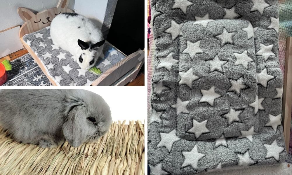 bed for a rabbit or a dwarf rabbit