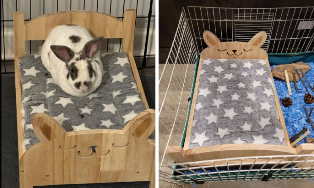 bunny beds  - Rabbit Bed of Dreams