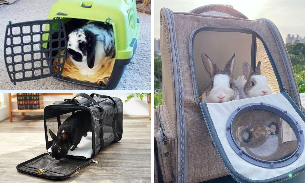 rabbit carrier bag