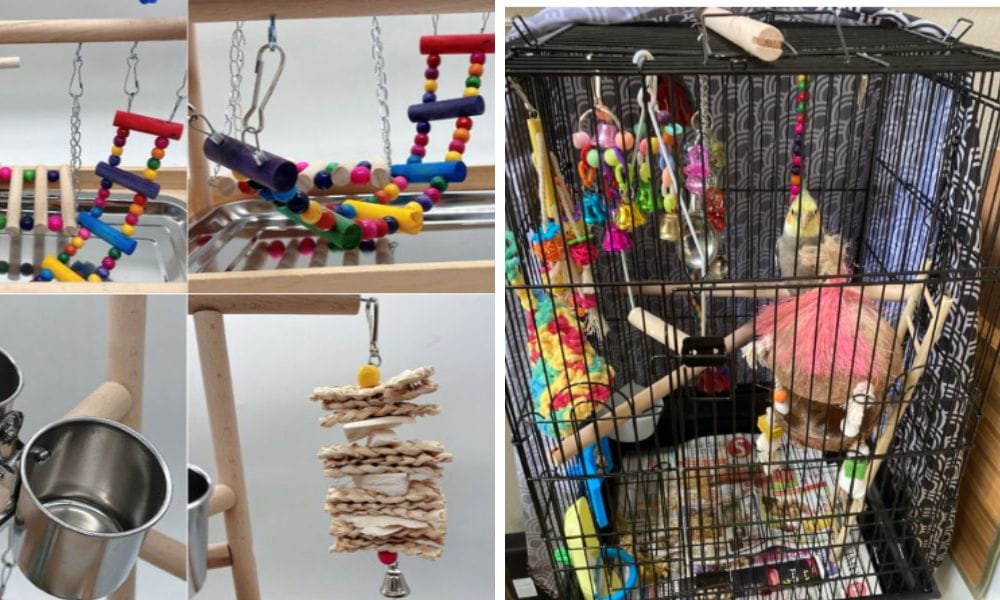 Cockatiel Playground Designed for Cockatiels and small Parrots with bird toys
