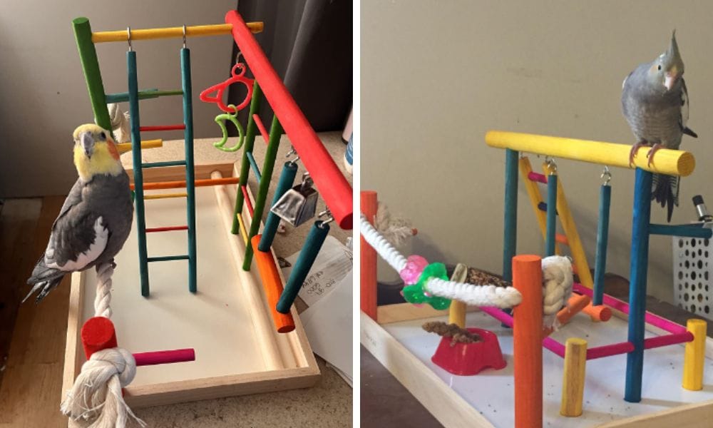 Square base, twine, wooden dowels, screws, decorations, mini clothespins, toys of various kinds