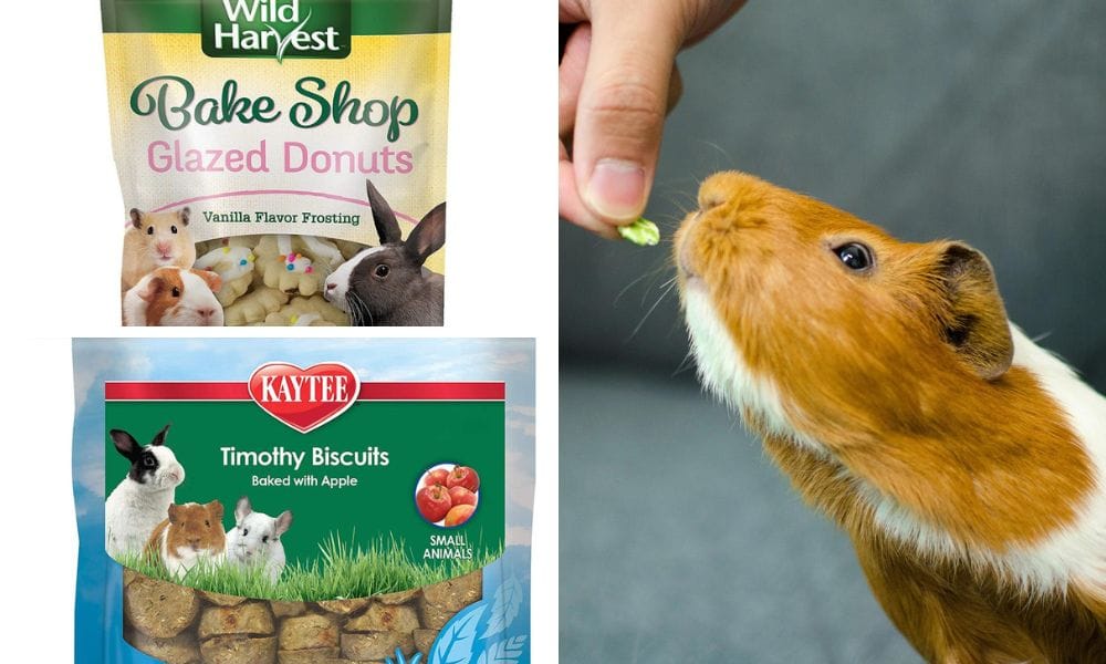 Many pet stores and companies produce items marketed for guinea pigs