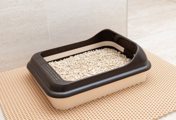 Critter Litter absorbs moisture