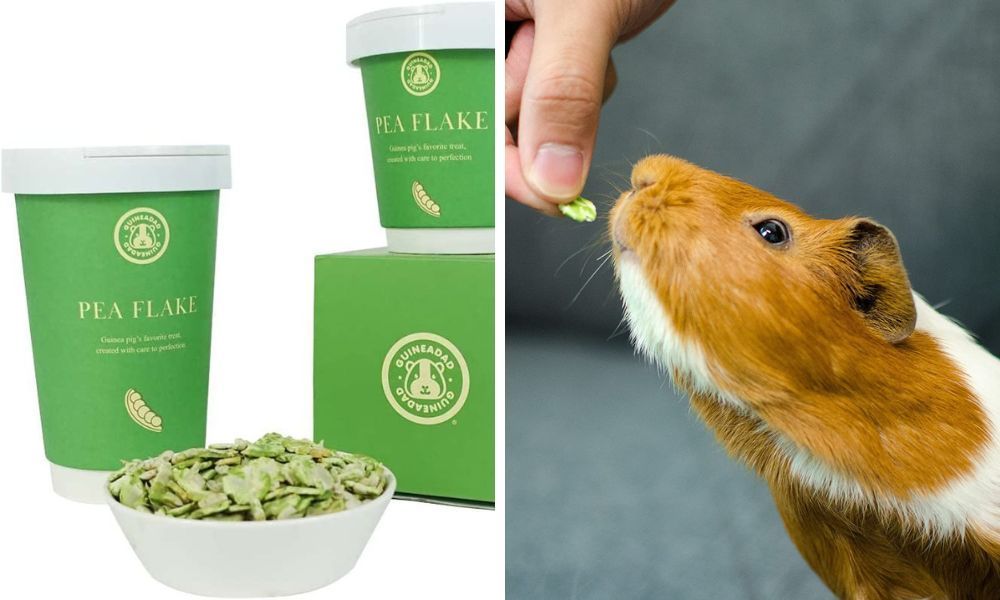 Pea Flakes For Guinea Pig