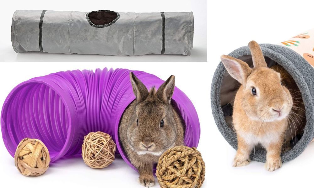 Rabbit Tunnels