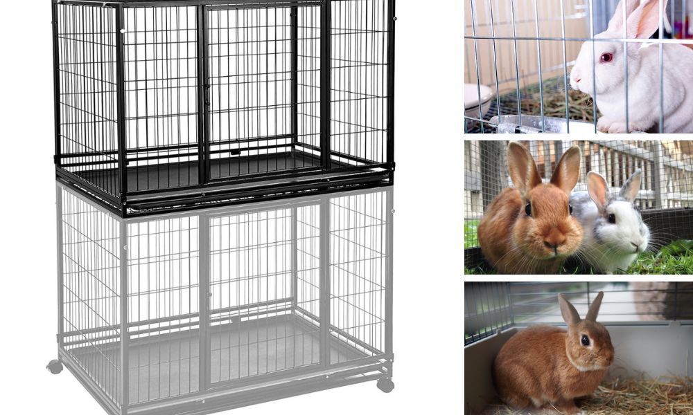 Stackable rabbit Cages