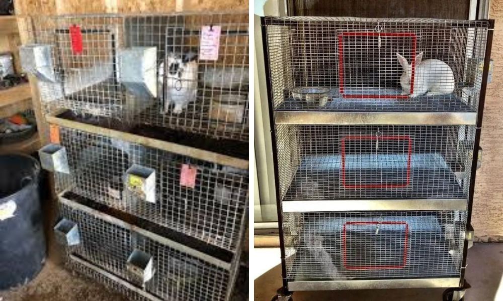 Stackable Rabbit Cages