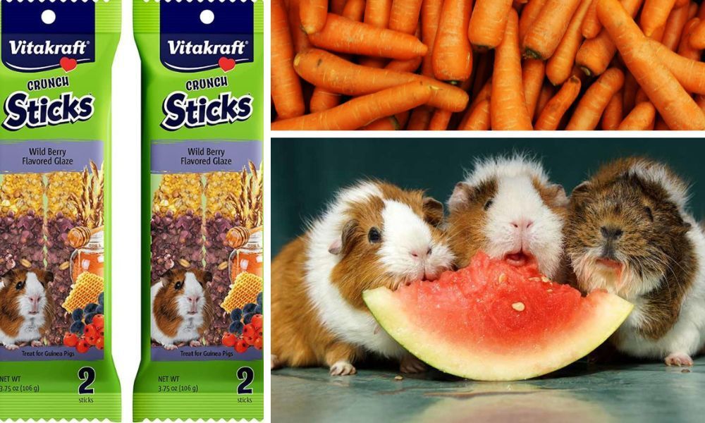 Guinea Pig Treats