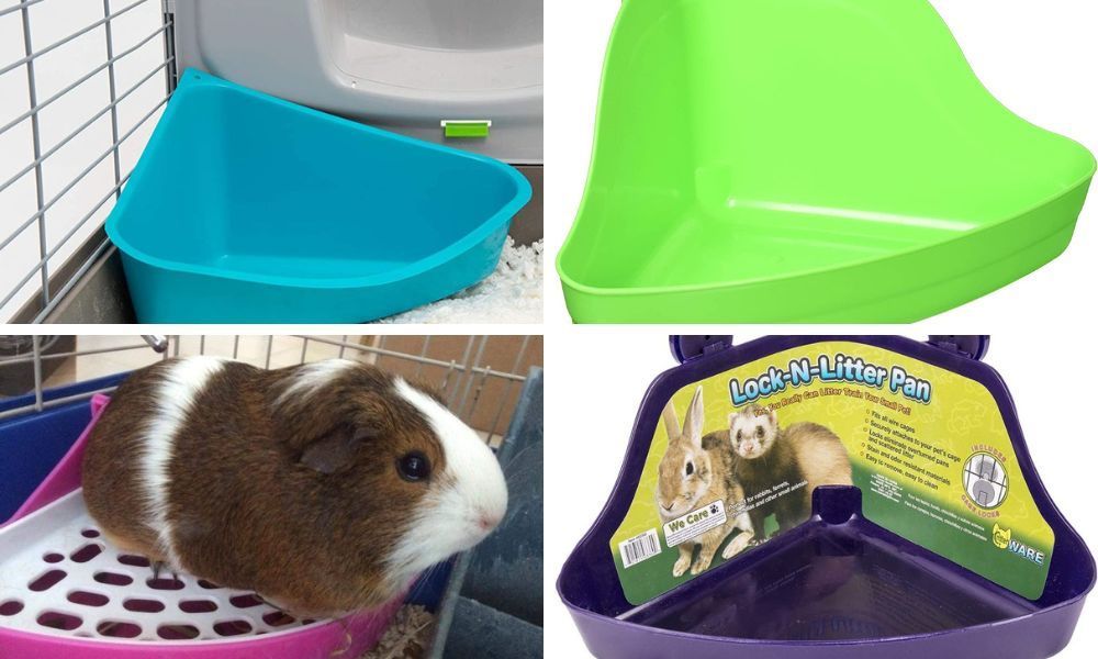 Guinea Pig Liter Box