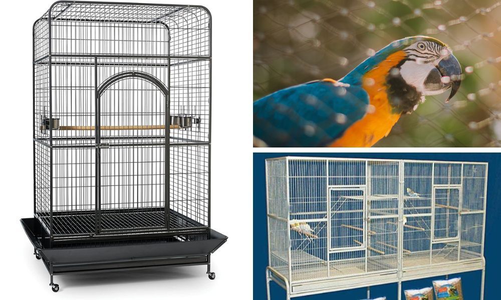 Extra Large Bird Cage