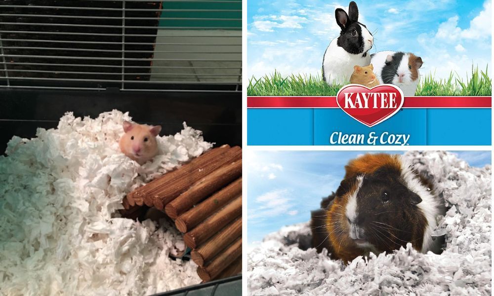 Kaytee Clean and Cozy