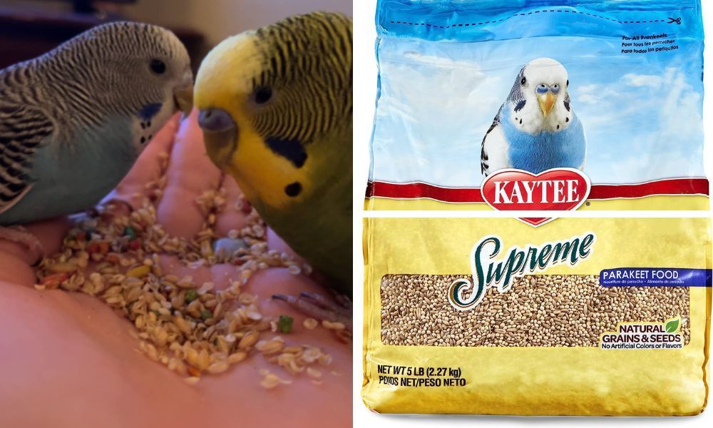 Kaytee Parakeet Food